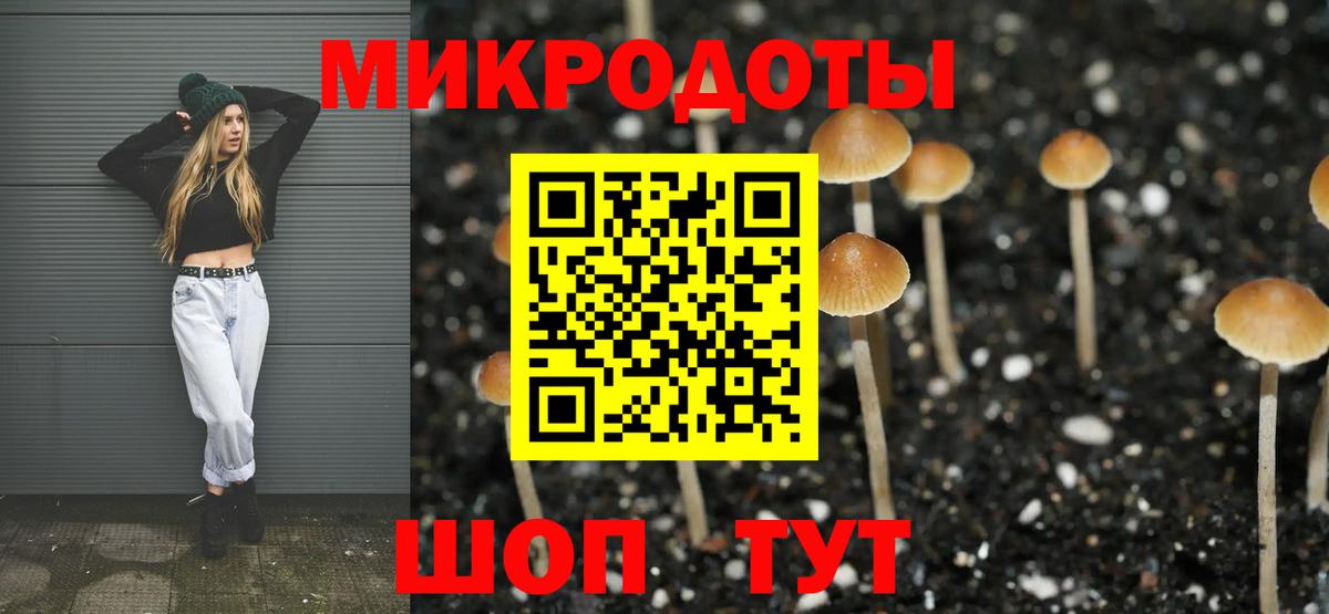 Галлюциногенные грибы Cubensis Алейск