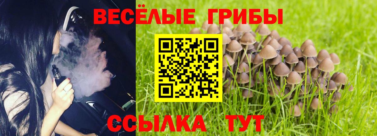 Галлюциногенные грибы Psilocybe  Вход с VPN  где купить наркоту  Псилоцибиновые грибы GOLDEN TEACHER  Алейск 